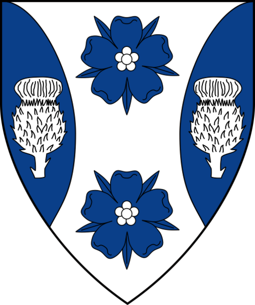 File:CristiningheanUiSheibhleain-Device-Color-2020-01-696-2397.png