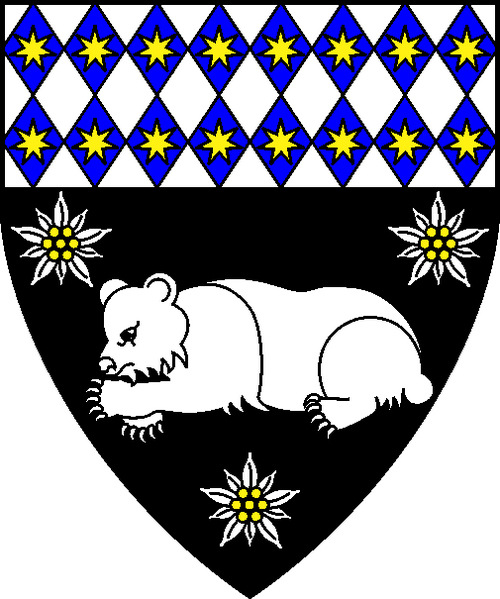 File:BernhardUlrichVriunt-Device-Color-2021-10-11765-2670.png