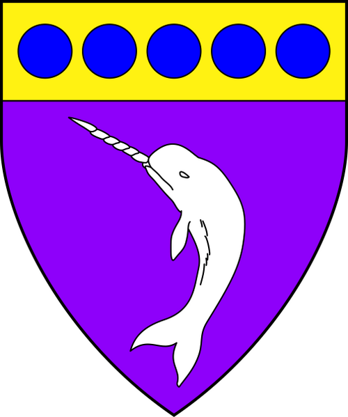 File:AislinnofAarquelle-Device-Color-2022-11-11855-2725.png