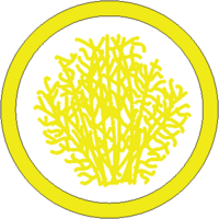 Badge of Russian Thistle of al-Barran