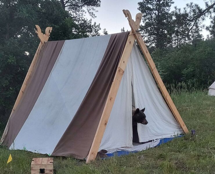 File:Battlemoorxiiibear.jpg